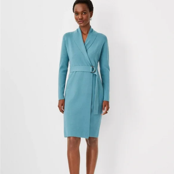Ann Taylor Dresses Ann Taylor Oceanside Shawl Collar Belted